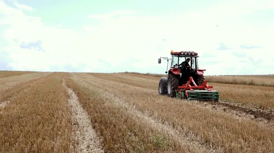 Борона дисковая для садов и виноградников AgroMASZ BTM 